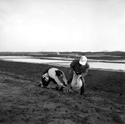 水田地带剧照的剧照