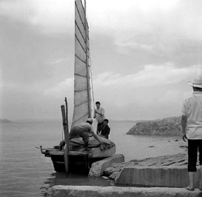 水田地带剧照的剧照