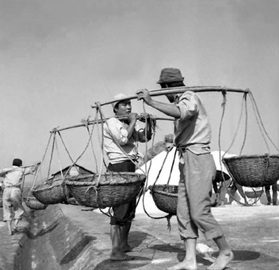 水田地带剧照的剧照