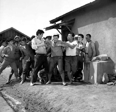 水田地带剧照的剧照