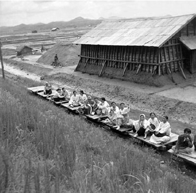 水田地带剧照的剧照