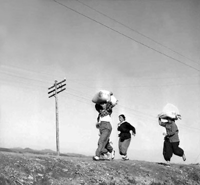 水田地带剧照的剧照