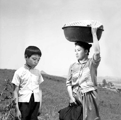 水田地带剧照的剧照