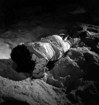 水田地带剧照的剧照