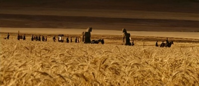 白鹿原剧照的剧照