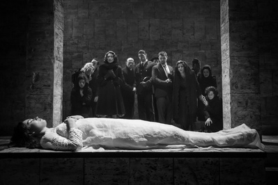 肯尼斯布拉纳剧院：罗密欧与朱丽叶剧照的剧照