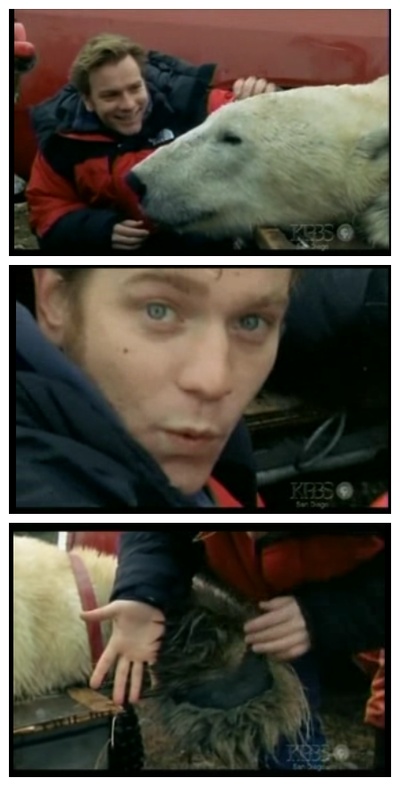 伊万·麦格雷戈探访野生北极熊剧照的剧照