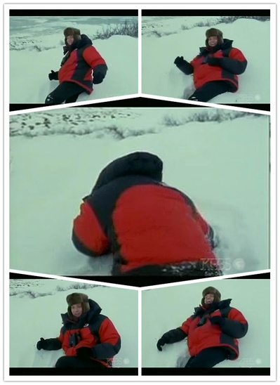 伊万·麦格雷戈探访野生北极熊剧照的剧照