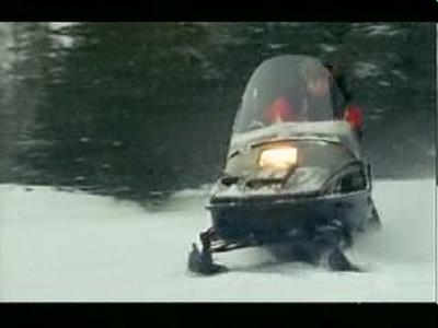 伊万·麦格雷戈探访野生北极熊剧照的剧照