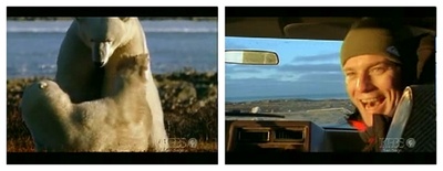 伊万·麦格雷戈探访野生北极熊剧照的剧照