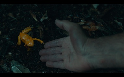 爱探险的朵拉剧照的剧照