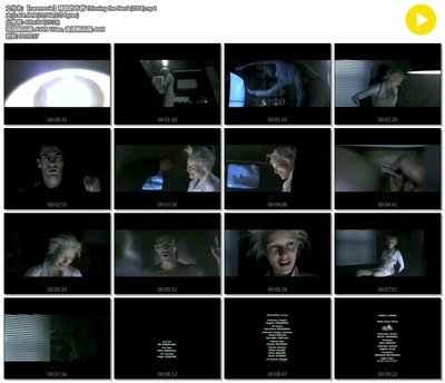 稀疏的牛群剧照的剧照