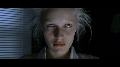 稀疏的牛群剧照的剧照