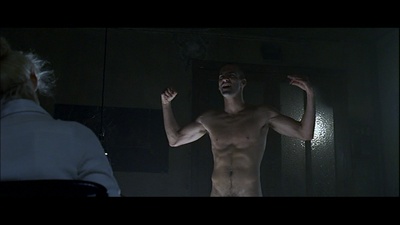 稀疏的牛群剧照的剧照