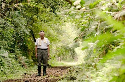 小金球剧照的剧照