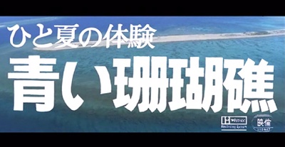 ひと夏の体験 青い珊瑚礁剧照的剧照