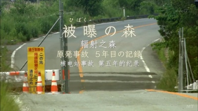 辐射之森~核电站事故第五年的纪录~剧照的剧照