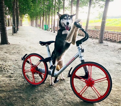 可乐人生剧照的剧照