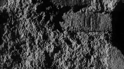 巴赫狂想曲剧照的剧照