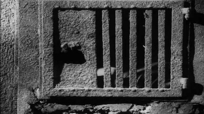 巴赫狂想曲剧照的剧照