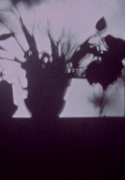 星辰美丽剧照的剧照