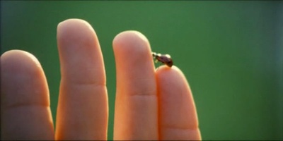 田园风光剧照的剧照