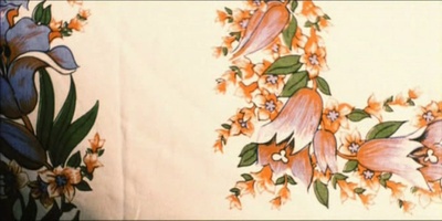 田园风光剧照的剧照