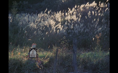 死者田园祭剧照的剧照