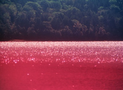 死者田园祭剧照的剧照