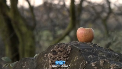 安妮·李斯特的秘密日记剧照的剧照