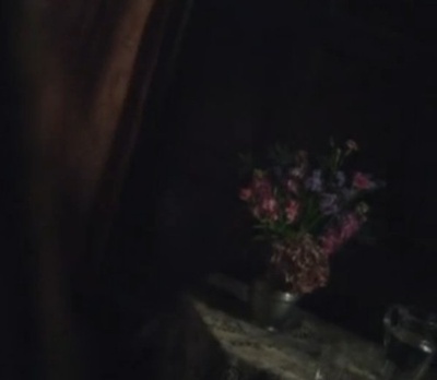 安妮·李斯特的秘密日记剧照的剧照