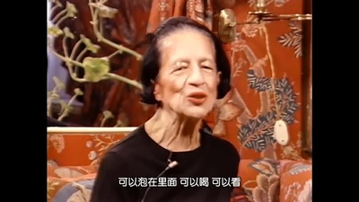 戴安娜·弗里兰:眼睛要旅行剧照的剧照