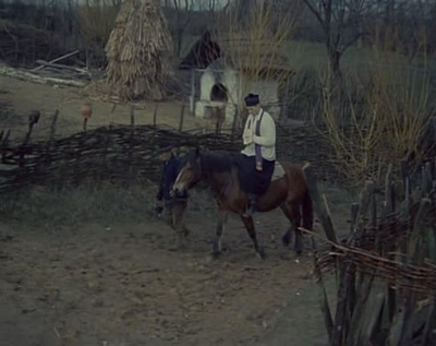 白桦树剧照的剧照