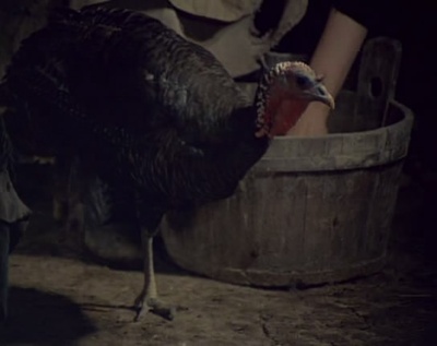 白桦树剧照的剧照