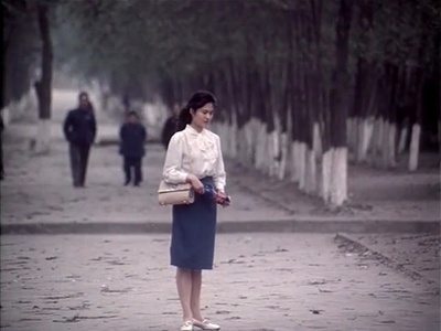 白桦林中的哨所剧照的剧照