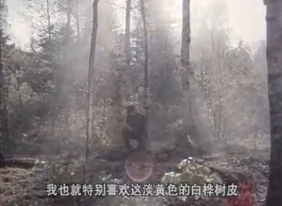 白桦林中的哨所剧照的剧照