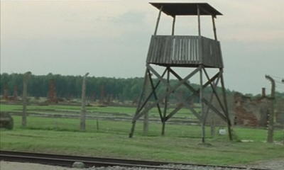 白桦林剧照的剧照