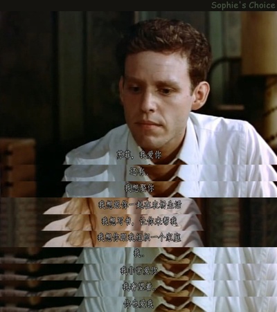 苏菲的抉择剧照的剧照