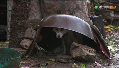 乡村里的中国剧照的剧照