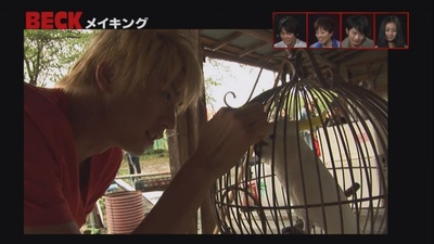 摇滚新乐团剧照的剧照