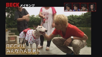 摇滚新乐团剧照的剧照