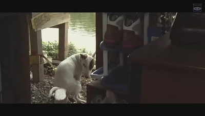 摇滚新乐团剧照的剧照