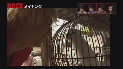 摇滚新乐团剧照的剧照