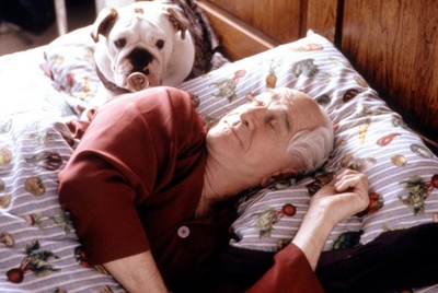 脱线先生剧照的剧照