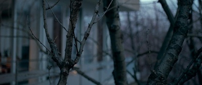 伊莲娜剧照的剧照