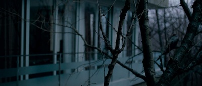 伊莲娜剧照的剧照