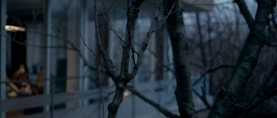 伊莲娜剧照的剧照