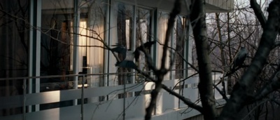 伊莲娜剧照的剧照