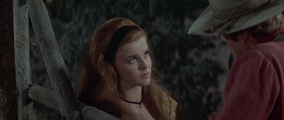 关山飞渡剧照的剧照