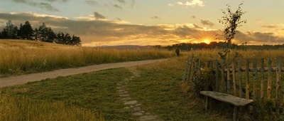 雾都孤儿剧照的剧照